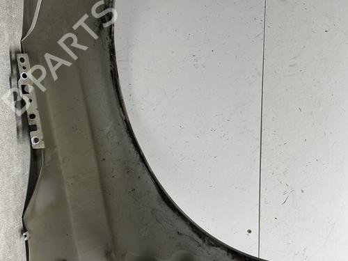 Left front fenders CITROËN C4 II (NC_) 1.6 HDi 115 | BP32436993C41 