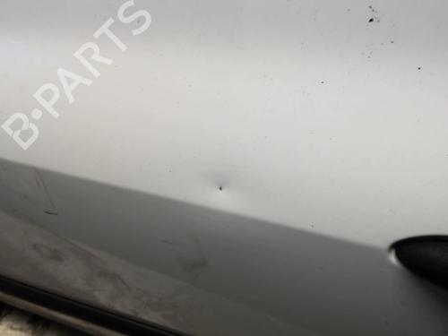 Left front door RENAULT CLIO III (BR0/1, CR0/1) 1.5 dCi | BP18213885C2 