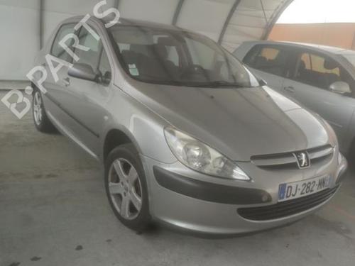 Tailgate PEUGEOT 307 (3A/C) 1.6 16V | BP18231674C6 