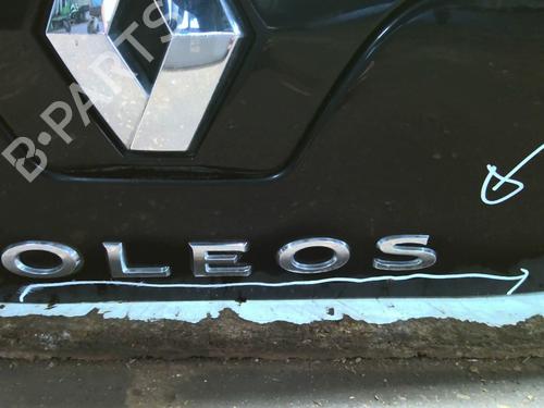 Tailgate RENAULT KOLEOS I (HY_) 2.0 dCi (HY0K) | BP25276524C6 