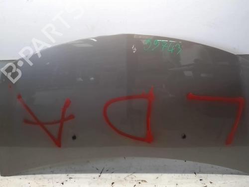 Used Hood RENAULT CLIO III (BR0/1, CR0/1) 1.5 dCi (C/BR0G, C/BR1G) (68 hp) 18215100