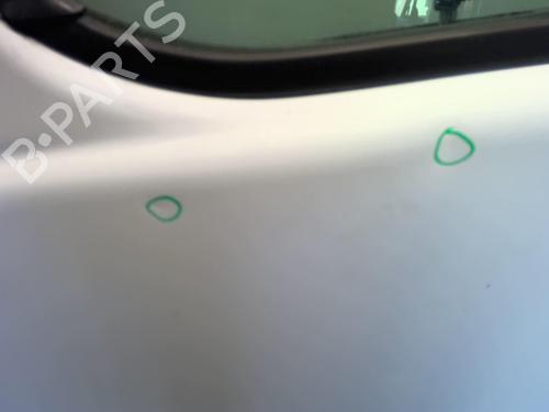 Left front door RENAULT TRAFIC II Van (FL) 1.9 dCi 100 (FL0C, FL0K, FL0B) | BP18230209C2