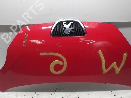Panser PEUGEOT 107 (PM_, PN_) 1.0 (68 hp) 18221662