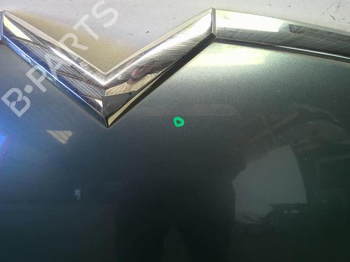 Used Hood Hood CITROËN C4 Picasso I MPV (UD_) 1.6 HDi (109 hp) 18227303 18227303