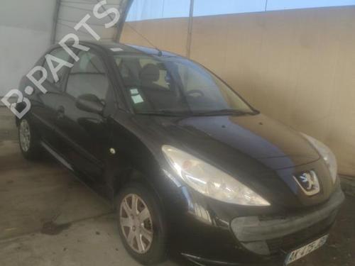 Left front door PEUGEOT 206+ (2L_, 2M_) 1.4 HDi eco 70 | BP18214233C2 