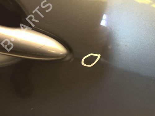 Right front door RENAULT GRAND SCÉNIC III (JZ0/1_) 1.5 dCi (JZ09, JZ0D, JZ10, JZ14, JZ1G, JZ29, JZ2C) | BP29615317C3 