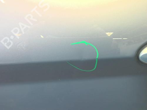Left front door FORD FIESTA VI (CB1, CCN) 1.4 TDCi | BP18216685C2 