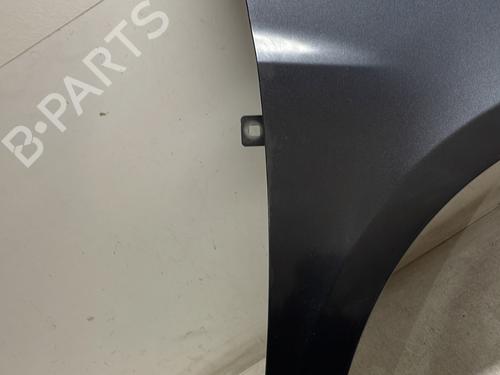 Right front fenders RENAULT CLIO III (BR0/1, CR0/1) 1.5 dCi (BR17, CR17) | BP29965076C42