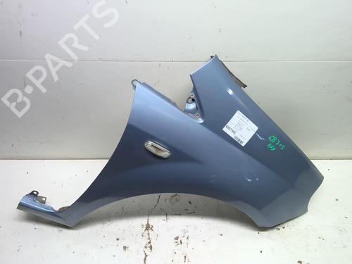 Right front fenders FIAT GRANDE PUNTO (199_) 1.4 (199AXB11, 199AXB1A, 199BXB1A, 199AXL1A) | BP18226202C42 