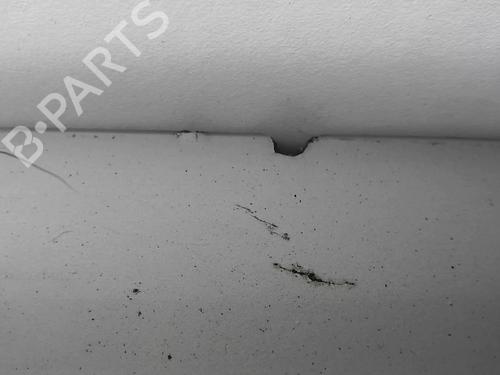 Tailgate CITROËN EVASION MPV (22, U6) 2.0 HDI 16V | BP18215291C6 