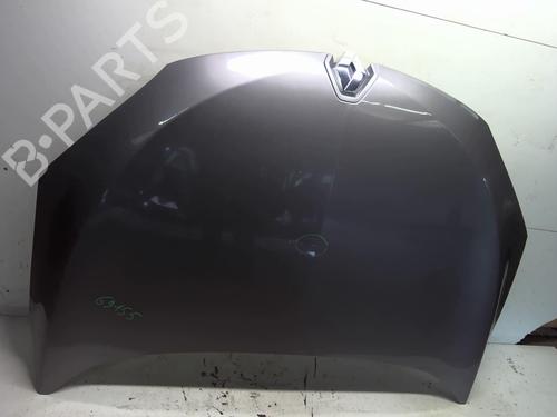 Hood RENAULT MEGANE III Hatchback (BZ0/1_, B3_) 1.9 dCi (BZ0N, BZ0J) | BP18222511C1 