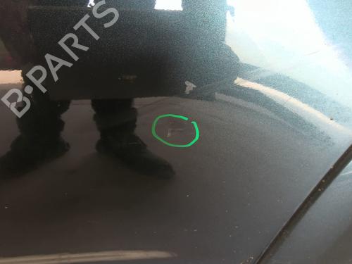 Left rear door TOYOTA RAV 4 III (_A3_) 2.2 D 4WD (ALA30_, ALA30R) | BP24505367C4 