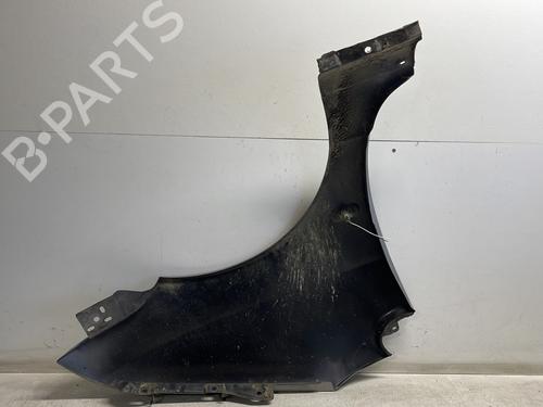 Left front fenders RENAULT TWINGO I (C06_) 1.2 16V (C060) | BP27355099C41 