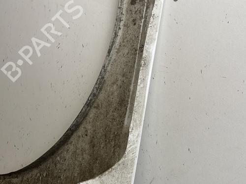 Left front fenders PEUGEOT 207 (WA_, WC_) 1.4 HDi | BP29611748C41 