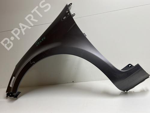 Left front fenders RENAULT CLIO III (BR0/1, CR0/1) 1.2 16V (BR02, BR0J, BR11, CR02, CR0J, CR11) | BP20173255C41 