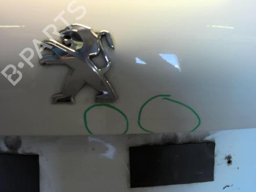 Tailgate PEUGEOT 208 I (CA_, CC_) 1.2 VTI 82 | BP18222763C6 