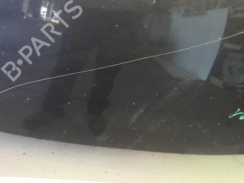 Used Hood VW POLO IV (9N_, 9A_) 1.9 TDI (101 hp) 18219828
