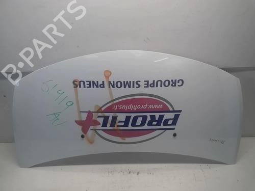 Used Hood RENAULT CLIO III (BR0/1, CR0/1) 1.5 dCi (BR17, CR17) (86 hp) 18231951