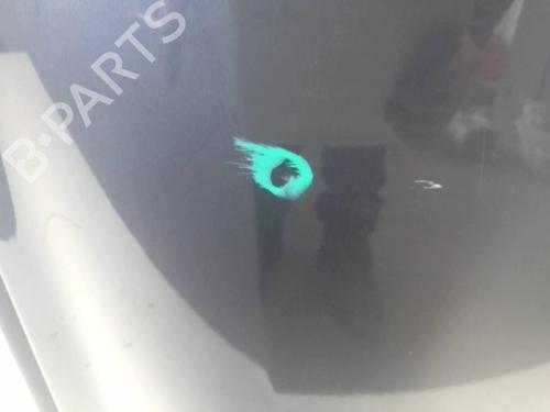 Used Left rear door RENAULT CLIO III (BR0/1, CR0/1) 1.5 dCi (C/BR0G, C/BR1G) (68 hp) 18228191