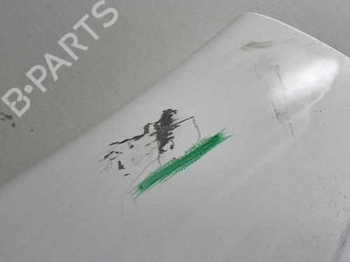 Left front fenders CITROËN JUMPY II Van 1.6 HDi 90 8V | BP29200122C41 
