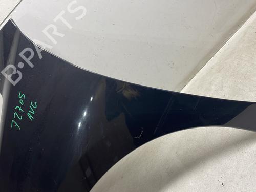 Left front fenders PEUGEOT 207 (WA_, WC_) 1.4 HDi | BP25932086C41 