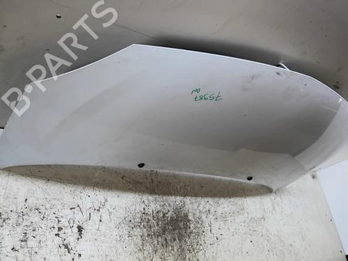 hood-renault-twingo-ii-cn0_-2007-37519368 main image
