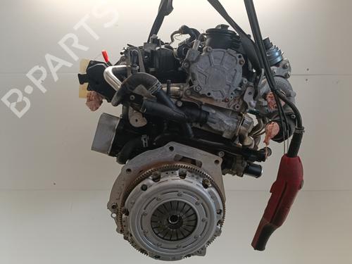 Engine SEAT LEON (1P1)  | BP34104984M1  - Image 6