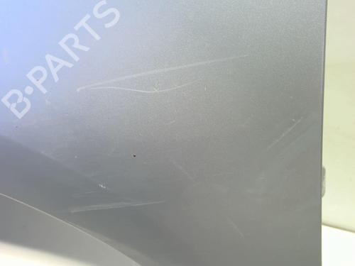 Left front fenders CITROËN C4 Picasso I MPV (UD_) 2.0 HDi 138 | BP18223901C41 