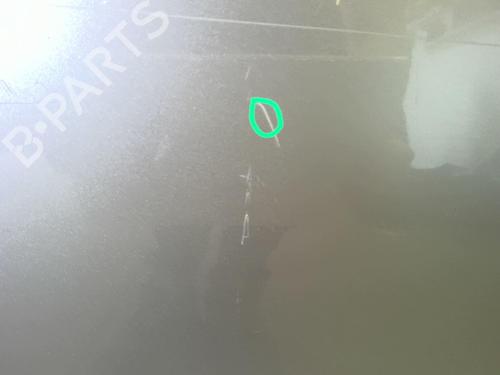 Left rear door NISSAN X-TRAIL I (T30) 2.2 dCi 4x4 | BP18223833C4 