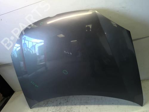Hood VW GOLF V (1K1) 1.9 TDI | BP18210209C1 