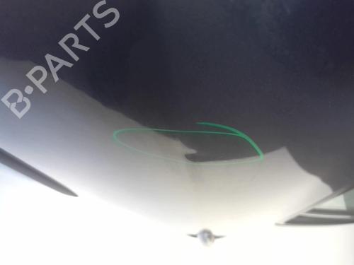 Left rear door RENAULT CLIO III (BR0/1, CR0/1) 1.5 dCi (BR17, CR17) | BP18228214C4 