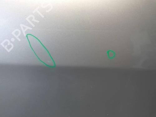 Right rear door FIAT BRAVO II (198_) 1.9 D Multijet (198AXB1A) | BP18221037C5