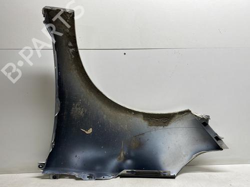 Right front fenders RENAULT SCÉNIC III (JZ0/1_) 1.5 dCi | BP24032632C42 