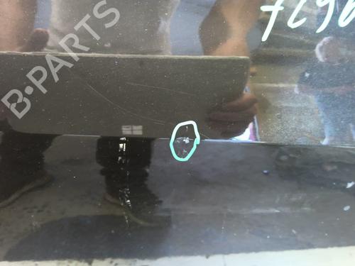 Right front door RENAULT CLIO III (BR0/1, CR0/1) 1.5 dCi (BR17, CR17) | BP26882219C3 