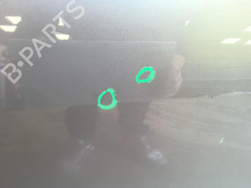Left front door RENAULT SCÉNIC III (JZ0/1_) 1.5 dCi | BP26023089C2 