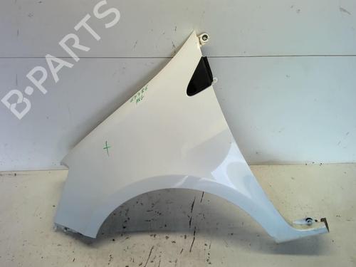 Used Left front fenders RENAULT CLIO III (BR0/1, CR0/1) 1.5 dCi (75 hp) 18212823
