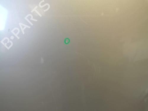 Used Hood Hood RENAULT SCÉNIC II (JM0/1_) 1.5 dCi (JM1E, JM16) (106 hp) 18220895 18220895