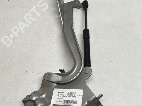 Hinge/Door check strap RENAULT SCÉNIC III (JZ0/1_) 1.6 dCi (JZ00, JZ12) | BP18212659C146 