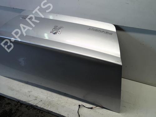 Tailgate PEUGEOT 407 (6D_) 2.0 HDi 135 (6DRHRH, 6DRHRE, 6DRHRG, 6DRHRJ) | BP18220705C6 