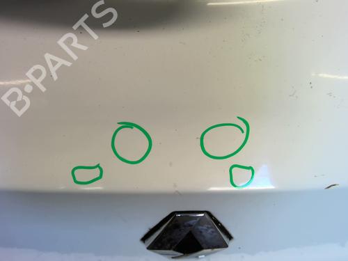 Tailgate RENAULT CLIO III (BR0/1, CR0/1) 1.5 dCi (C/BR0G, C/BR1G) | BP26524472C6 