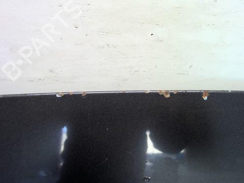 Hood FIAT BRAVO II (198_) 1.9 D Multijet (198AXB1A) | BP24314267C1 