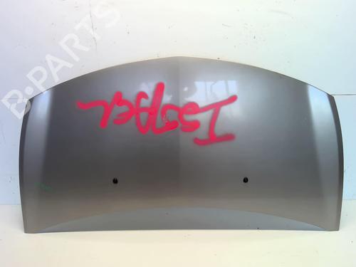 Used Hood RENAULT CLIO III (BR0/1, CR0/1) 1.5 dCi (C/BR0G, C/BR1G) (68 hp) 21063152