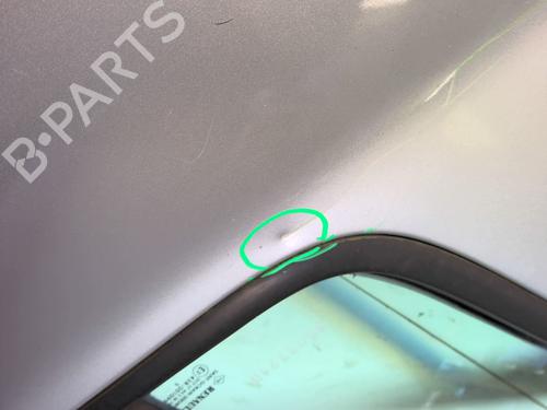 Right rear door RENAULT CLIO III (BR0/1, CR0/1) 1.5 dCi (BR17, CR17) | BP25913279C5 