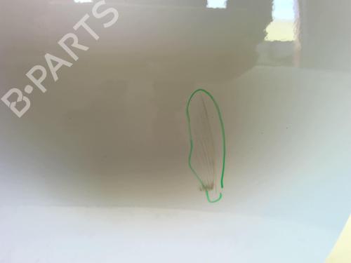 Right front door RENAULT MEGANE III Hatchback (BZ0/1_, B3_) 1.5 dCi (BZ0C) | BP18226618C3