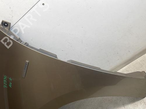 Left front fenders RENAULT GRAND SCÉNIC III (JZ0/1_) 1.6 dCi (JZ00, JZ12) | BP29573988C41 