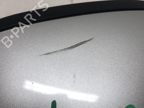 Used Left mirror BMW 3 (E90) 318 d (143 hp) 18213102