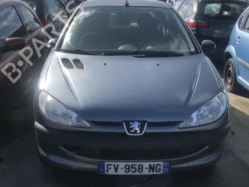 Right mirror PEUGEOT 206 Hatchback (2A/C) 1.4 HDi eco 70 | BP18230683C27