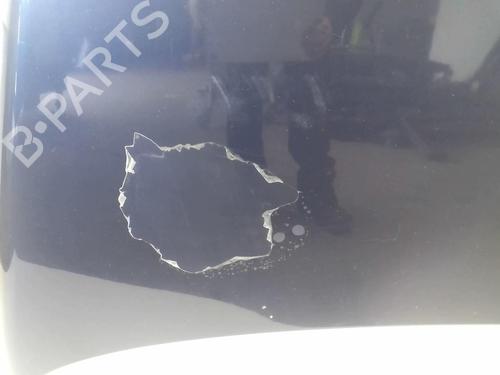 Hood VW TOUAREG (7LA, 7L6, 7L7) 2.5 R5 TDI | BP18232031C1 