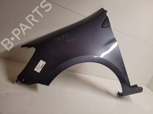 Left front fenders RENAULT CLIO III (BR0/1, CR0/1) 1.5 dCi (C/BR0G, C/BR1G) | BP20932820C41