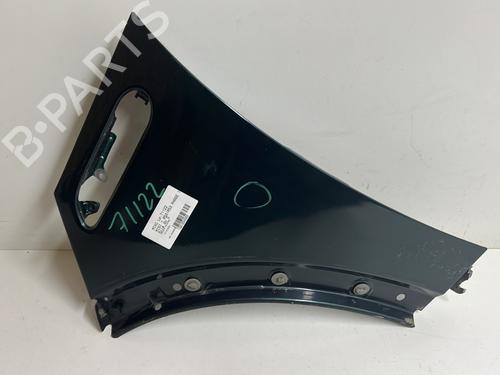 Left front fenders MINI MINI (R50, R53) Cooper | BP21899607C41 